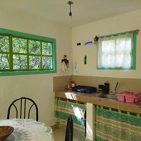 테포츨란 Casa Ecologica 아파트 외부 사진