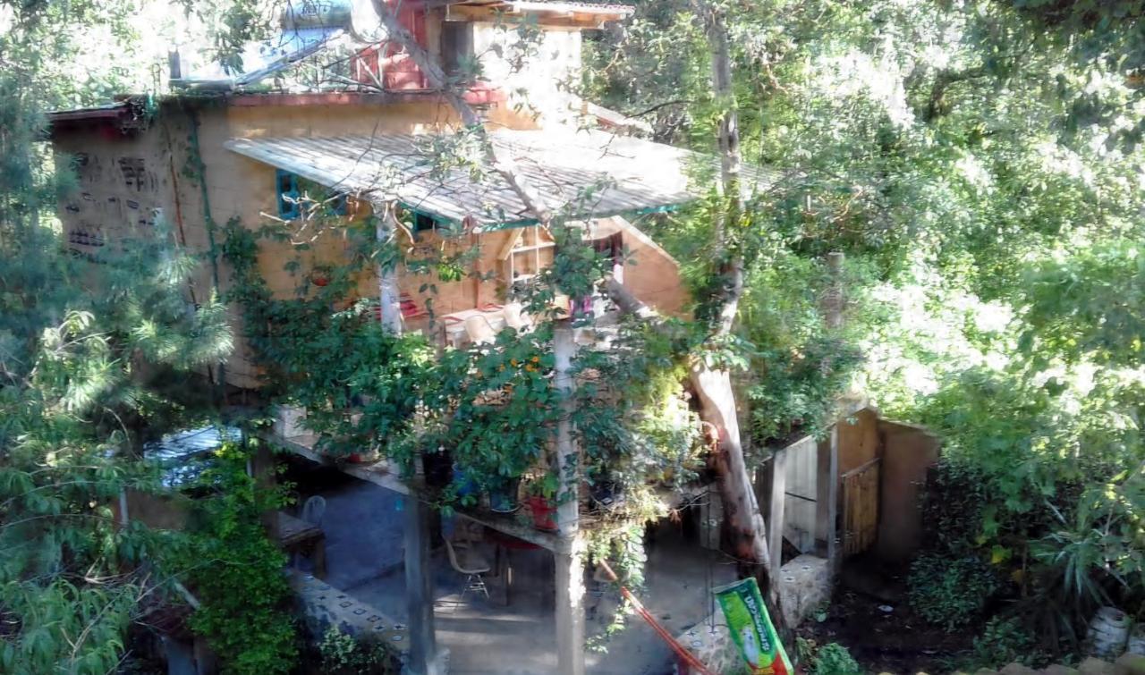테포츨란 Casa Ecologica 아파트 외부 사진