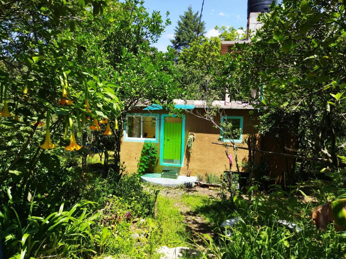 테포츨란 Casa Ecologica 아파트 외부 사진