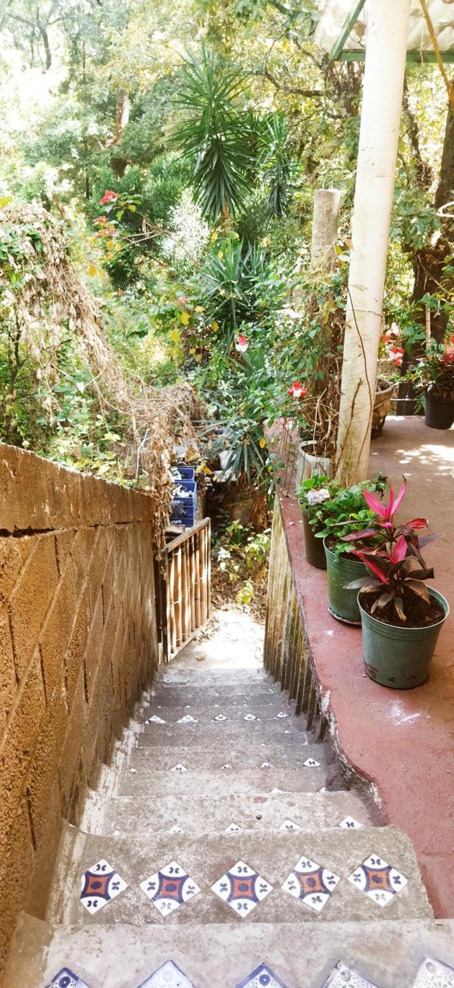 테포츨란 Casa Ecologica 아파트 외부 사진