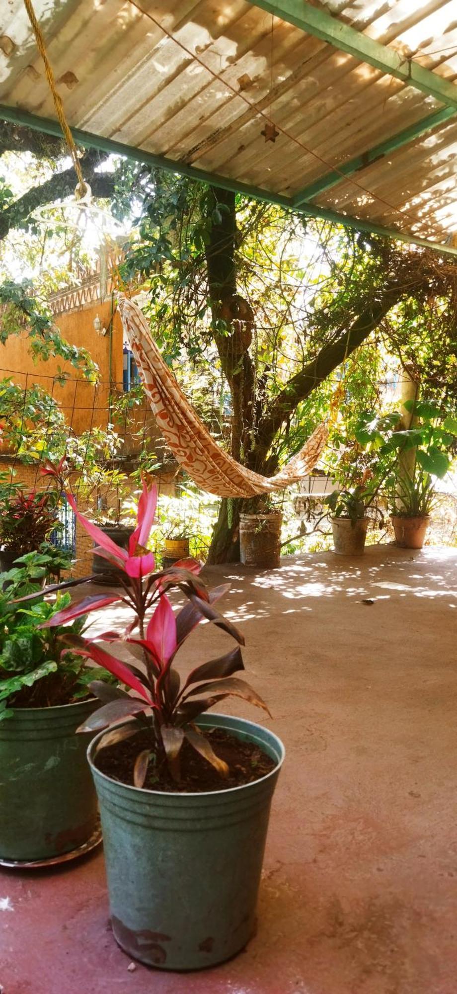 테포츨란 Casa Ecologica 아파트 외부 사진