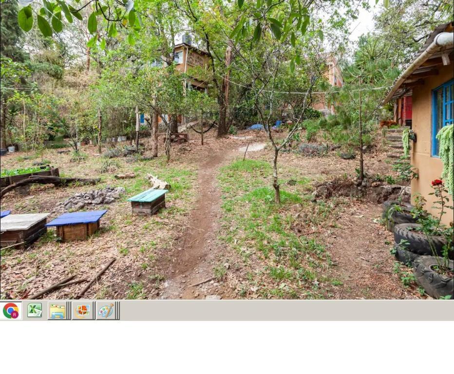 테포츨란 Casa Ecologica 아파트 외부 사진