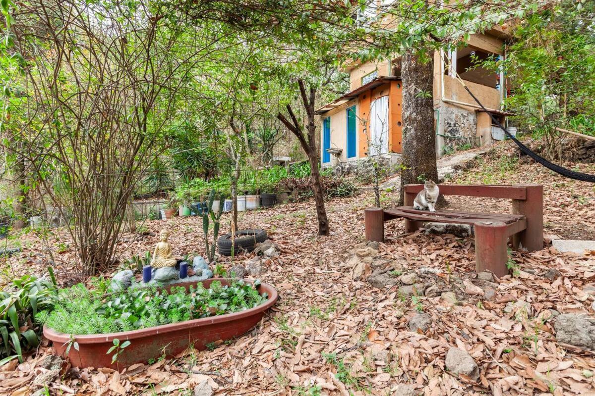 테포츨란 Casa Ecologica 아파트 외부 사진